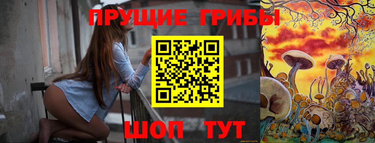 Галлюциногенные грибы Psilocybe  Вход с VPN  купить наркотик  Чебаркуль 